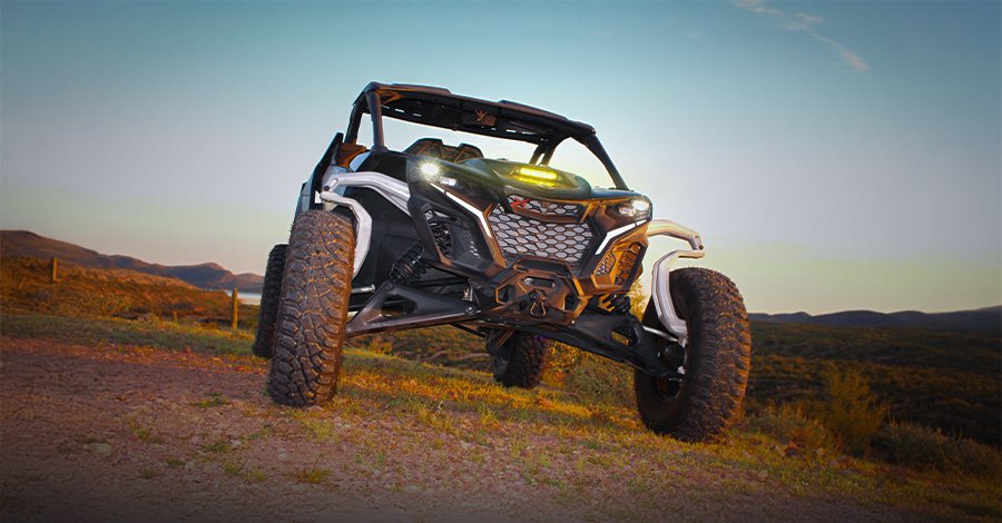 Cat-Banner-Image-900x470-CAN-AM