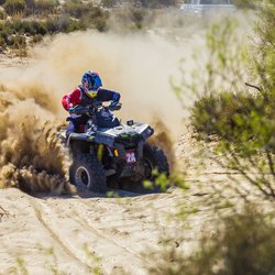 Don Higbee (Driver Headshot)