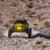 Tevon Murachanian Vehicle Photo