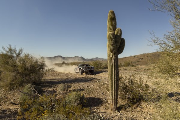 tracy-graf-parker-400-2026